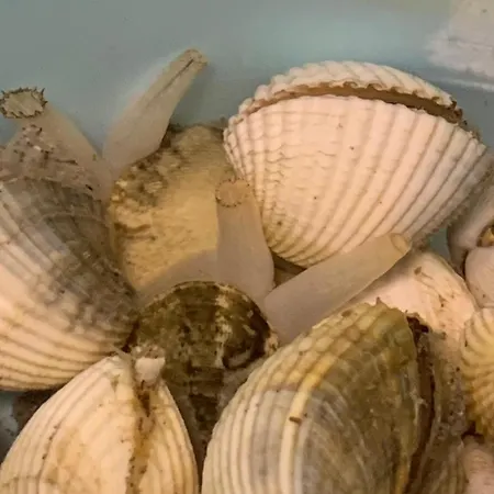 Apartamento Climatise Avec Parking, Proche - Fr-1-338-618